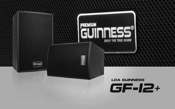 GUINNESS GF - 12+