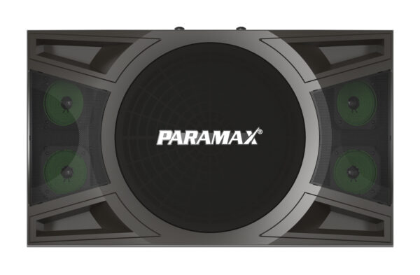 Loa Karaoke Paramax P-2000