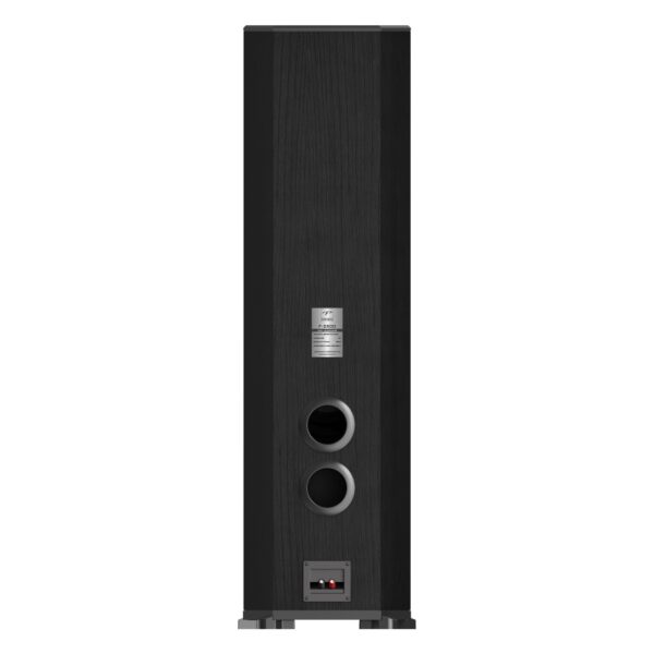 Loa Đứng Karaoke Paramax F-2500 - Hình ảnh 18