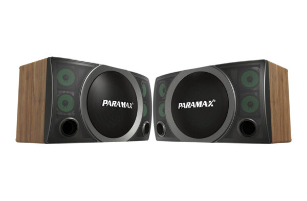 Loa Karaoke Paramax P-3500 - Hình ảnh 3