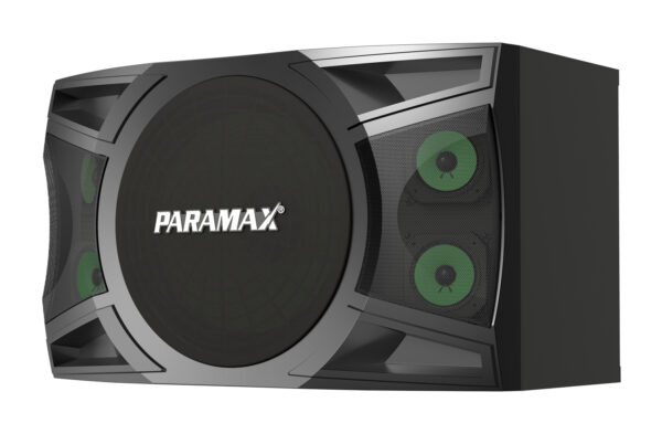 Loa Karaoke Paramax P-2000 - Hình ảnh 3