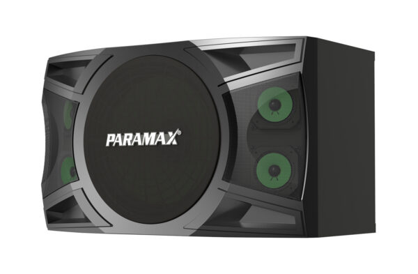 Loa Karaoke Paramax P-1000 - Hình ảnh 3