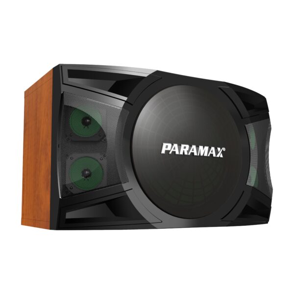 Loa Karaoke Paramax P-1500 - Hình ảnh 4