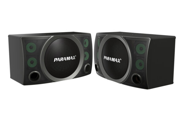 Loa Karaoke Paramax P-3500 - Hình ảnh 6