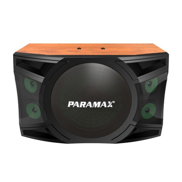 Loa Karaoke Paramax P-1500 - Hình ảnh 7