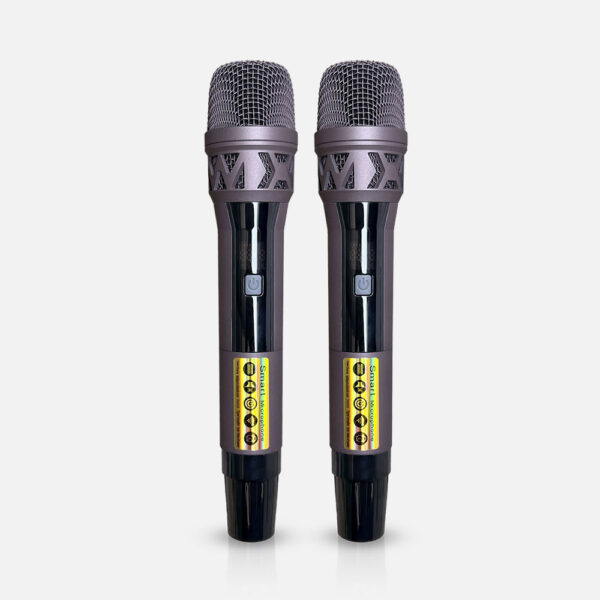 Loa karaoke di động Lanqt LA-118D Bass 5 tấc - Hình ảnh 5