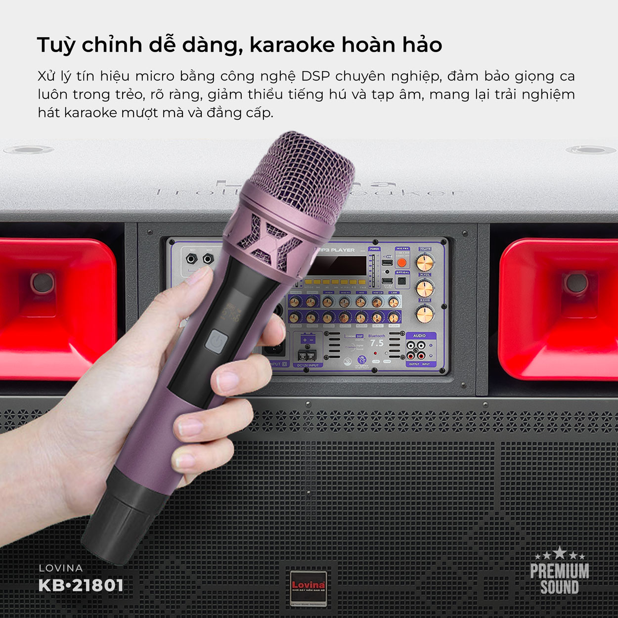 Loa karaoke di động Lovina KB-21801 - Hình ảnh 6