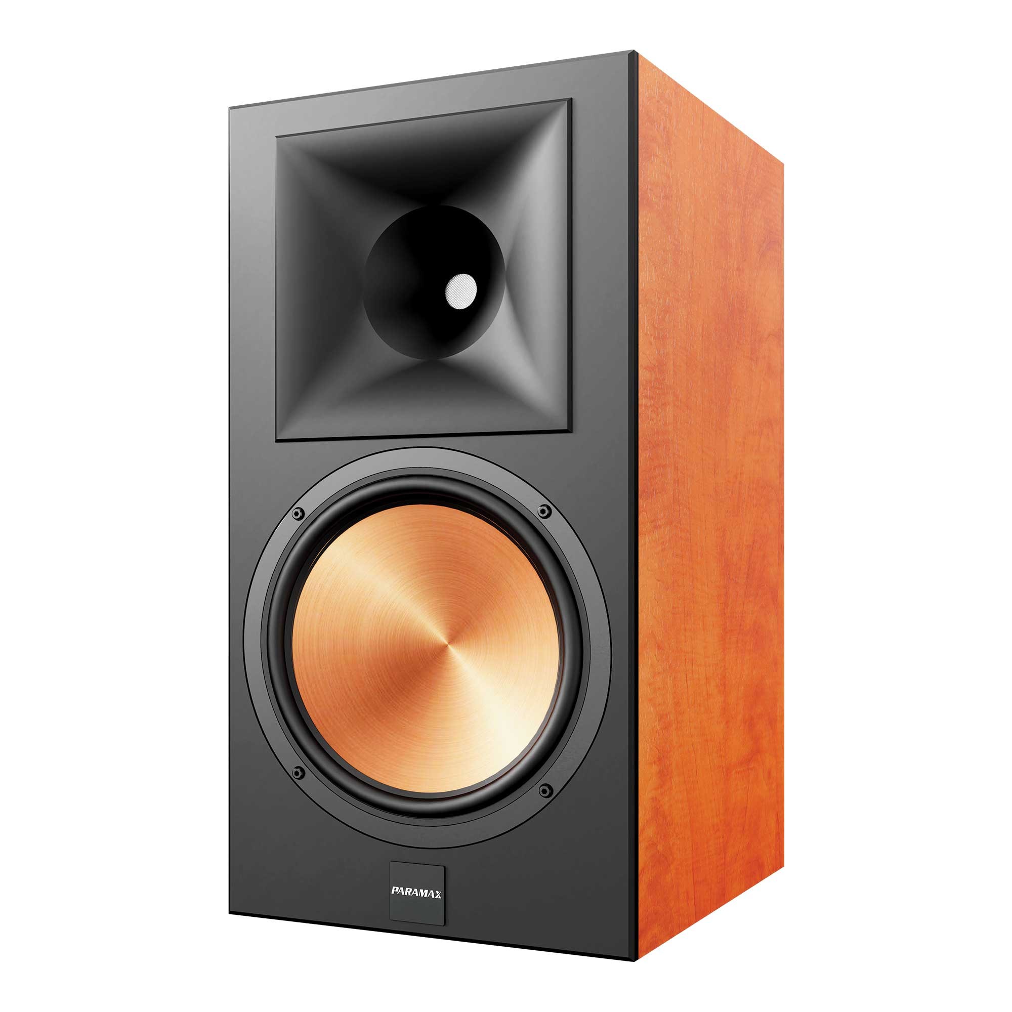 LOA PARAMAX EURO 1001 Limited - Hình ảnh 3